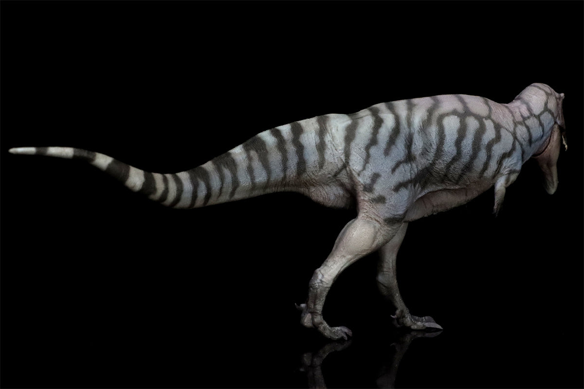 PNSO Meraxes Mungo Model