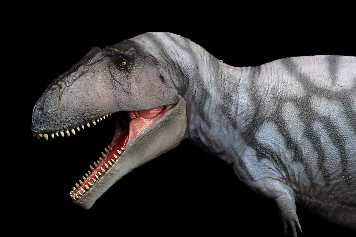 PNSO Meraxes Mungo Model