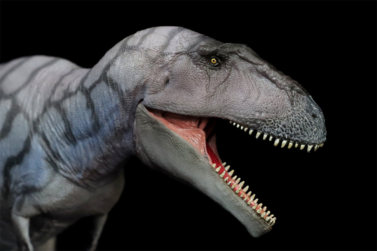 PNSO Meraxes Mungo Model