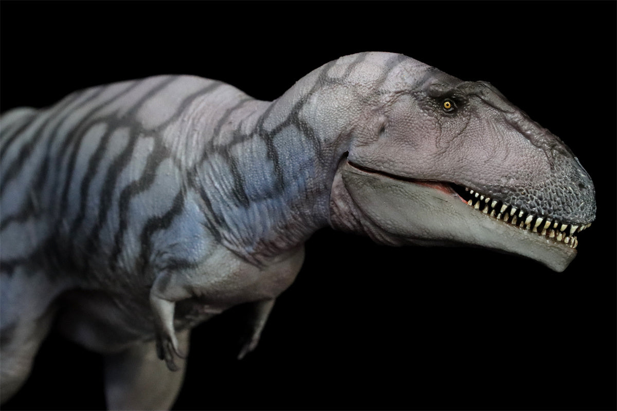 PNSO Meraxes Mungo Model