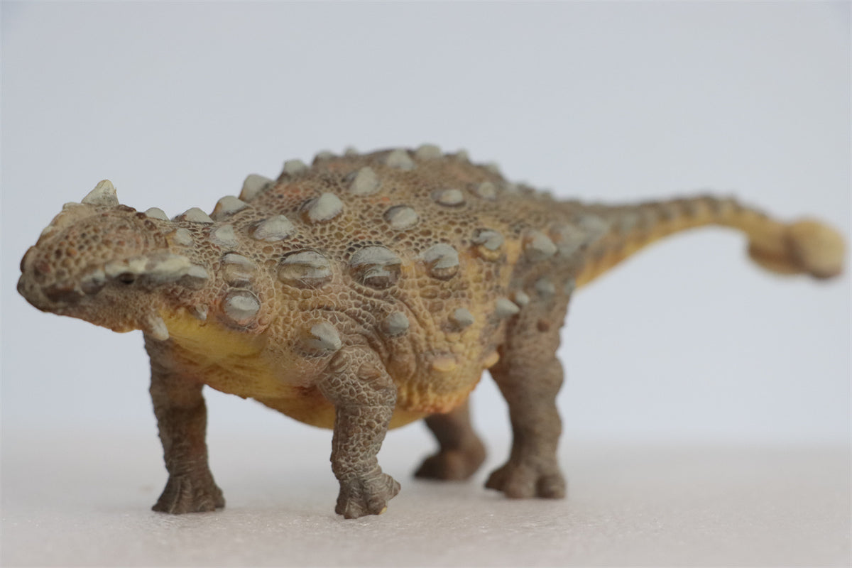 PNSO Ankylosaurus Model