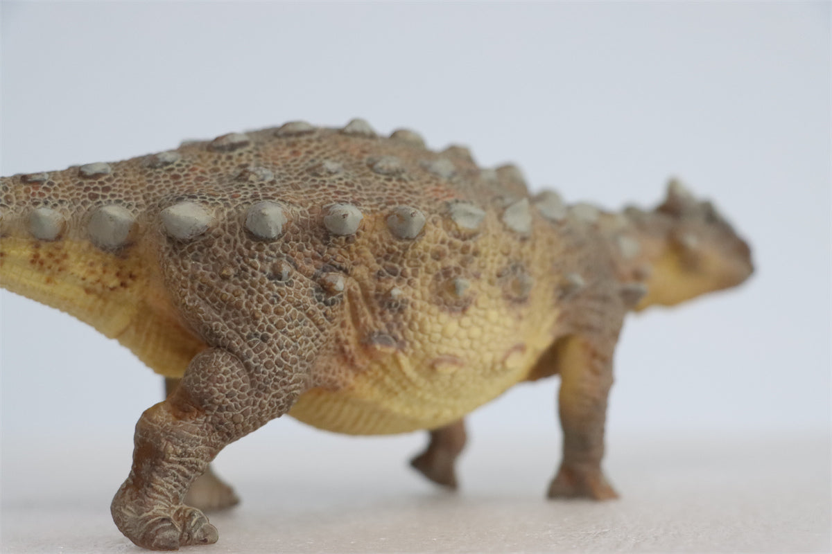 PNSO Ankylosaurus Model