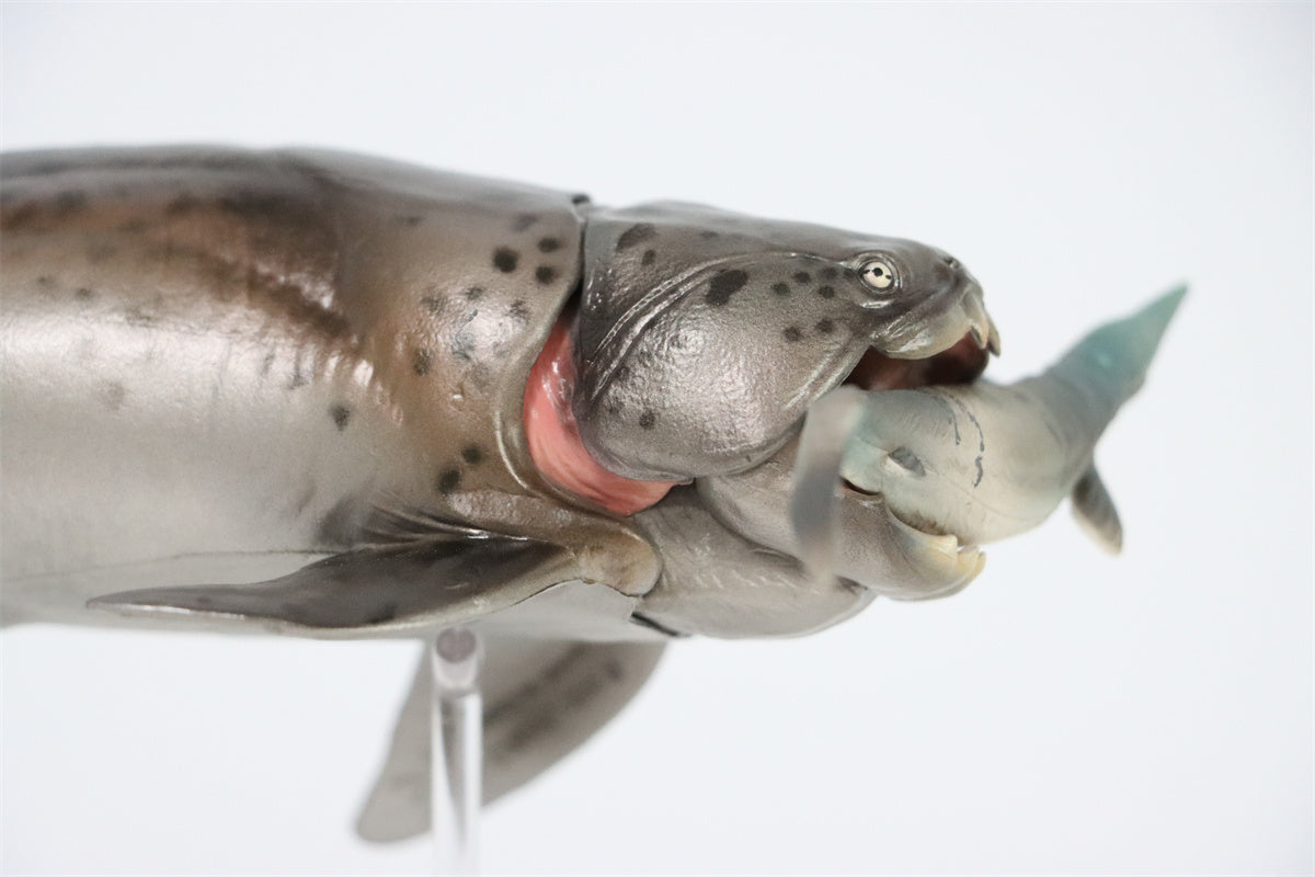 PNSO Dunkleosteus Zaha Model