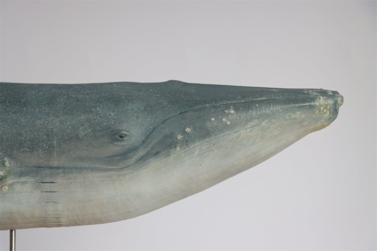 1/35 Blue Whale Statue