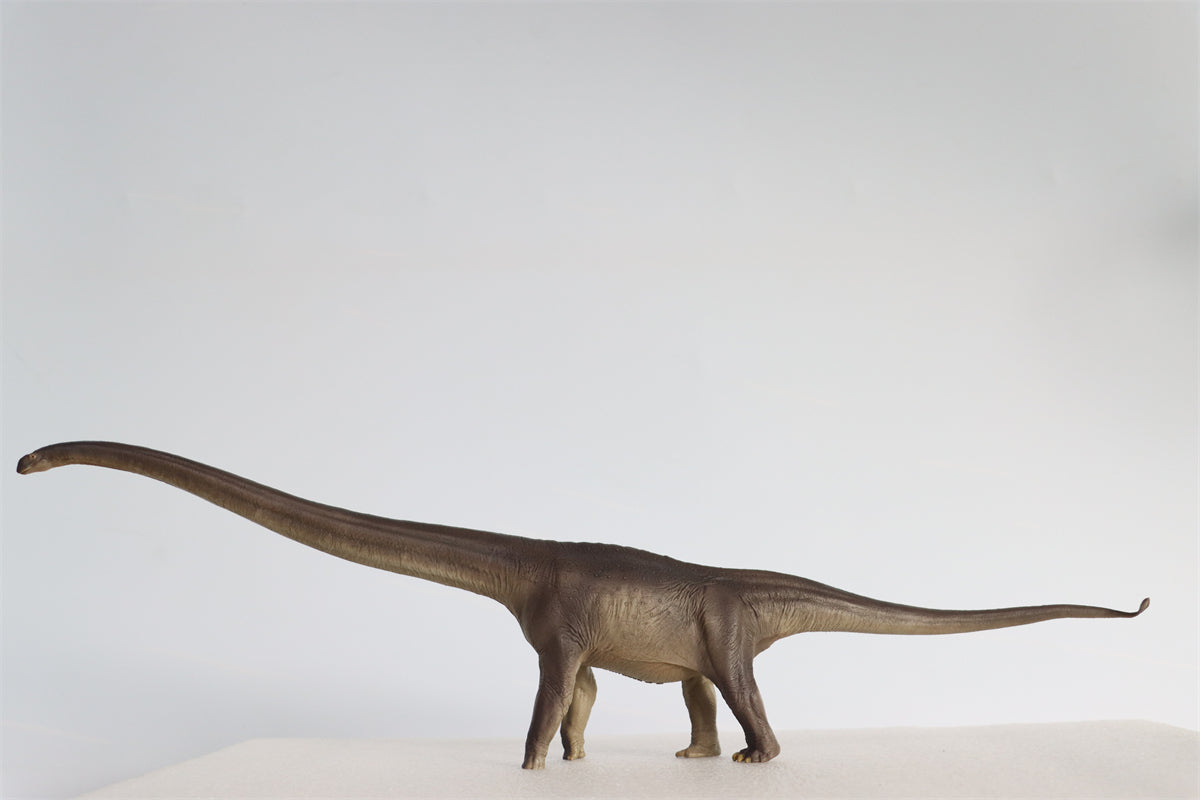 PNSO 1:45 Mamenchisaurus ER-MA Model