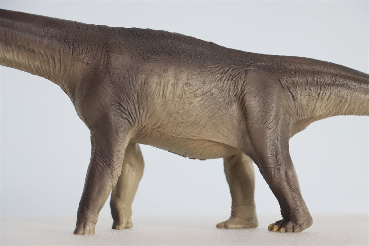 PNSO 1:45 Mamenchisaurus ER-MA Model