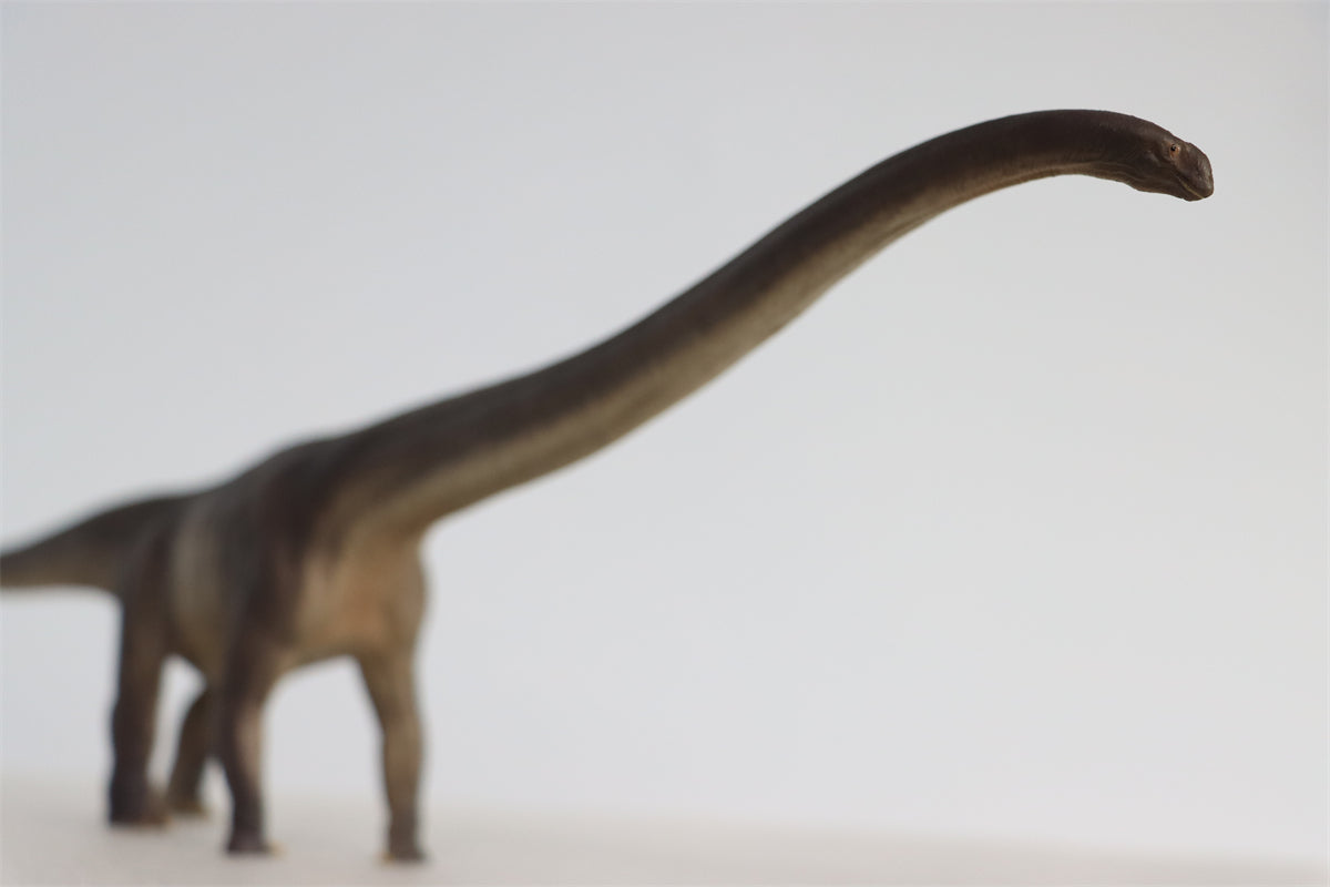 PNSO 1:45 Mamenchisaurus ER-MA Model