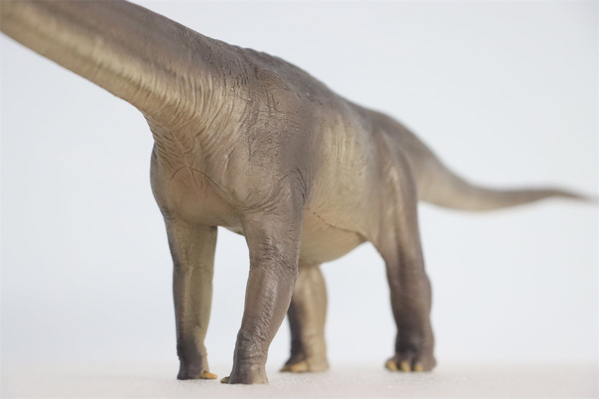 PNSO 1:45 Mamenchisaurus ER-MA Model