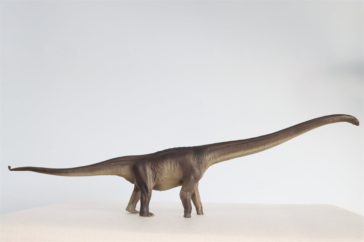 PNSO 1:45 Mamenchisaurus ER-MA Model – Lana Time Shop