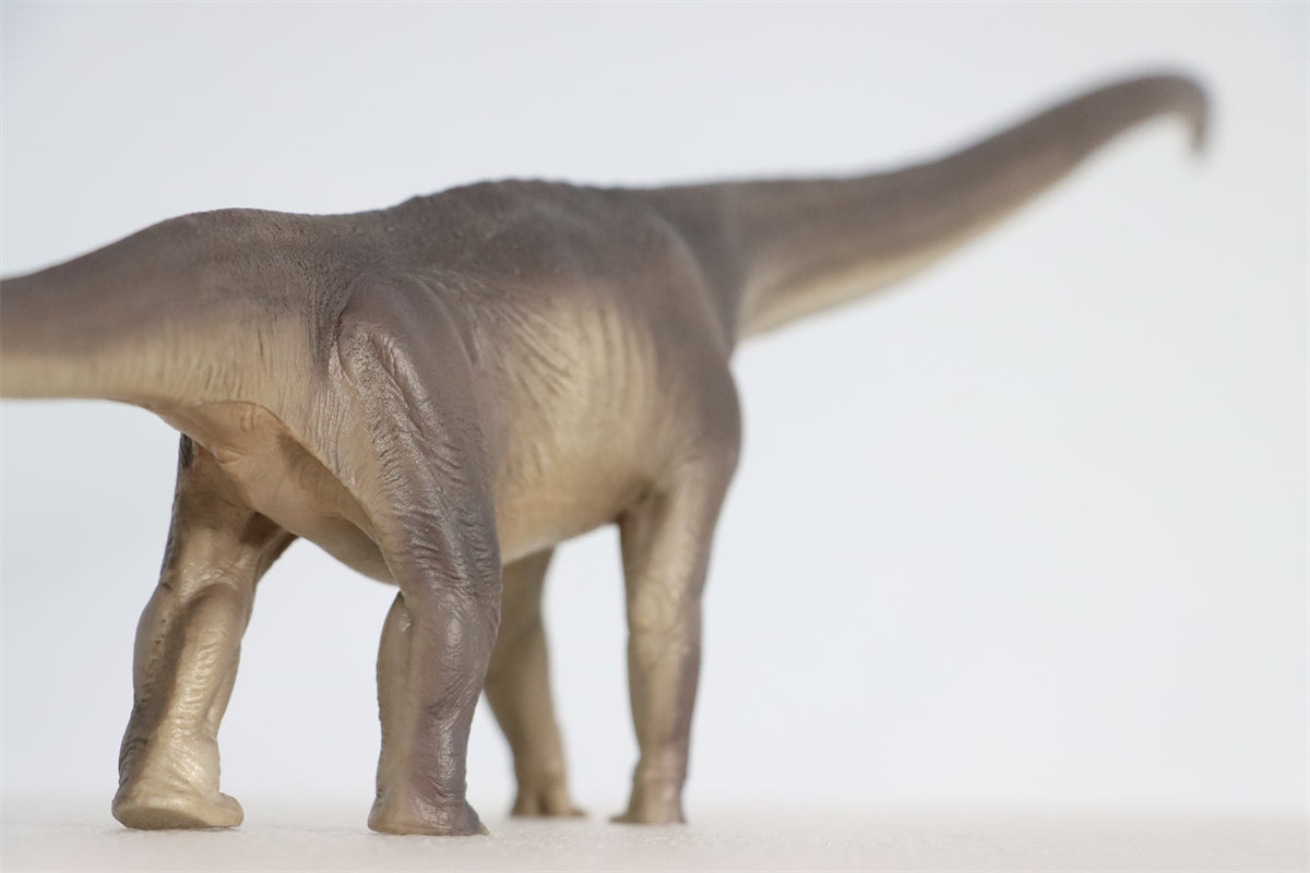 PNSO 1:45 Mamenchisaurus ER-MA Model