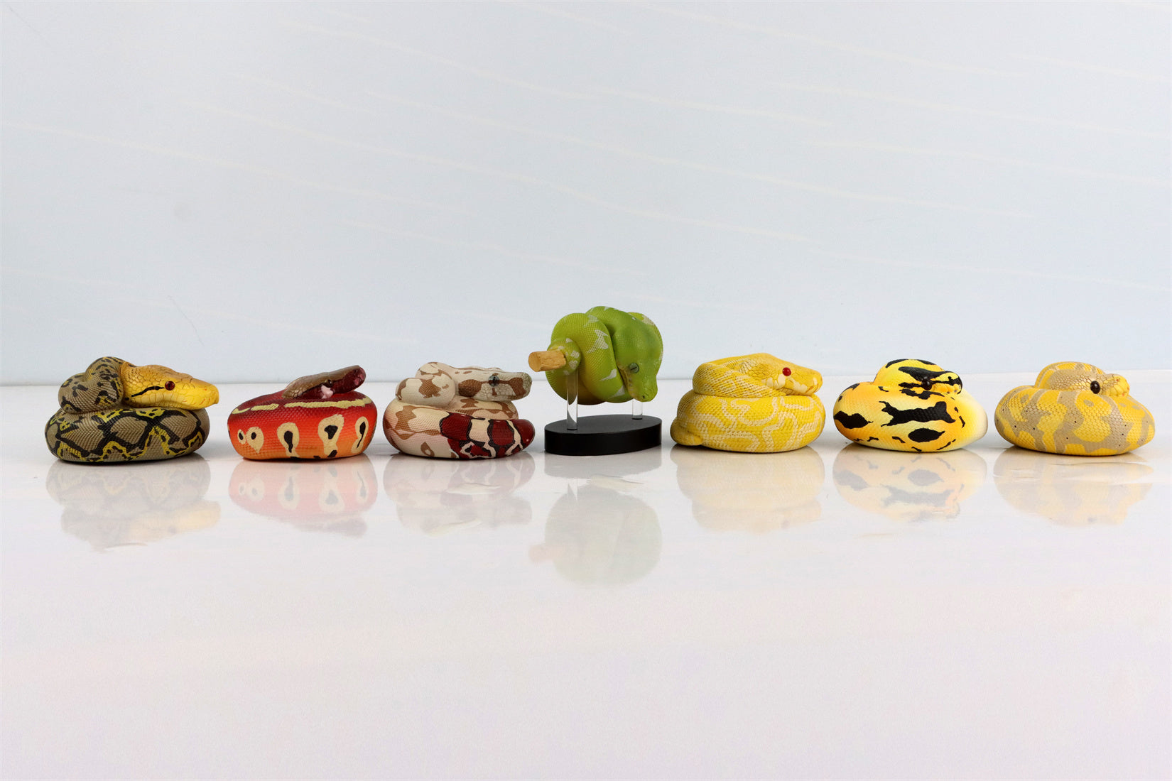 Animal Planet 09 Snake 2.0 Blind Box Model