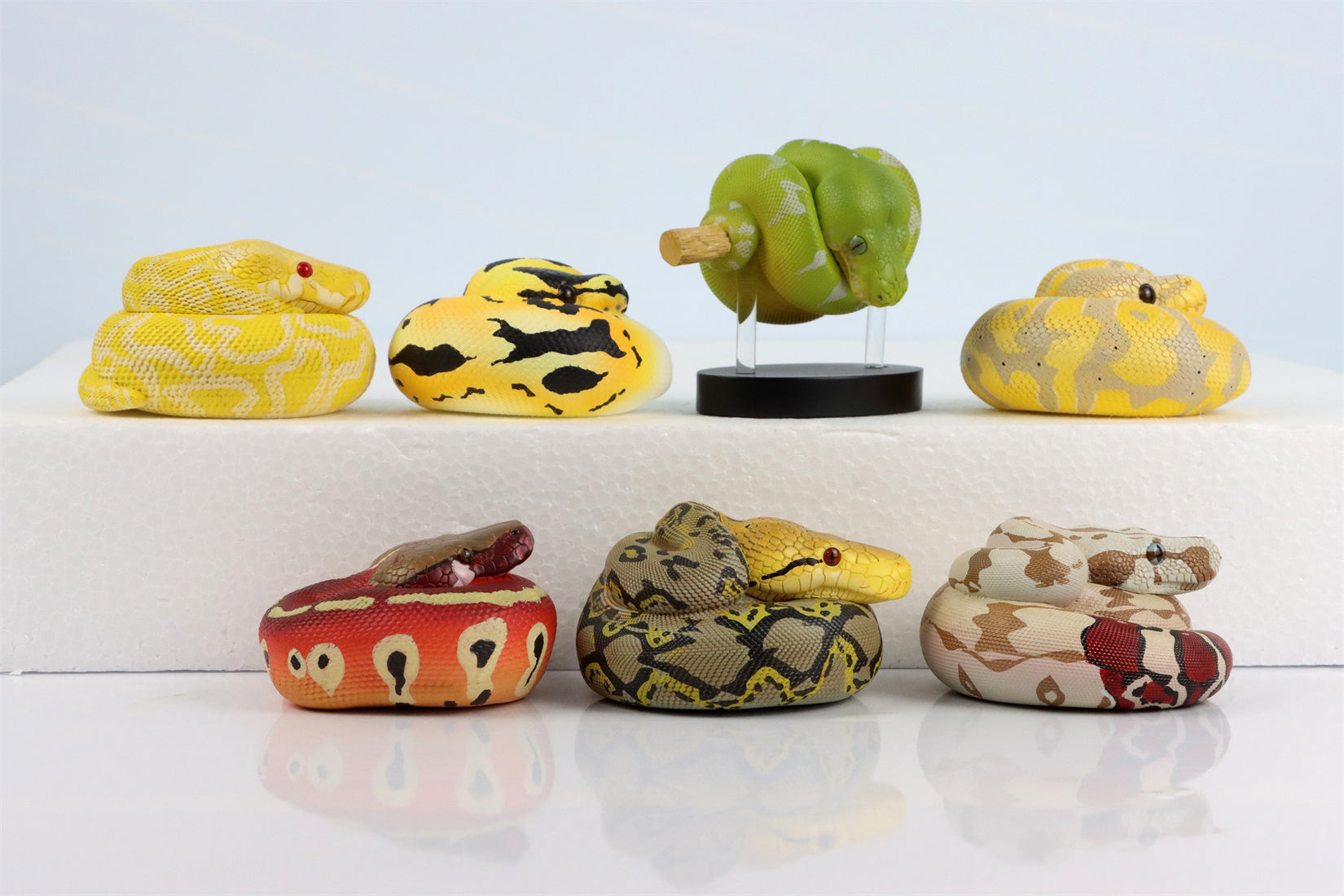 Animal Planet 09 Snake 2.0 Blind Box Model