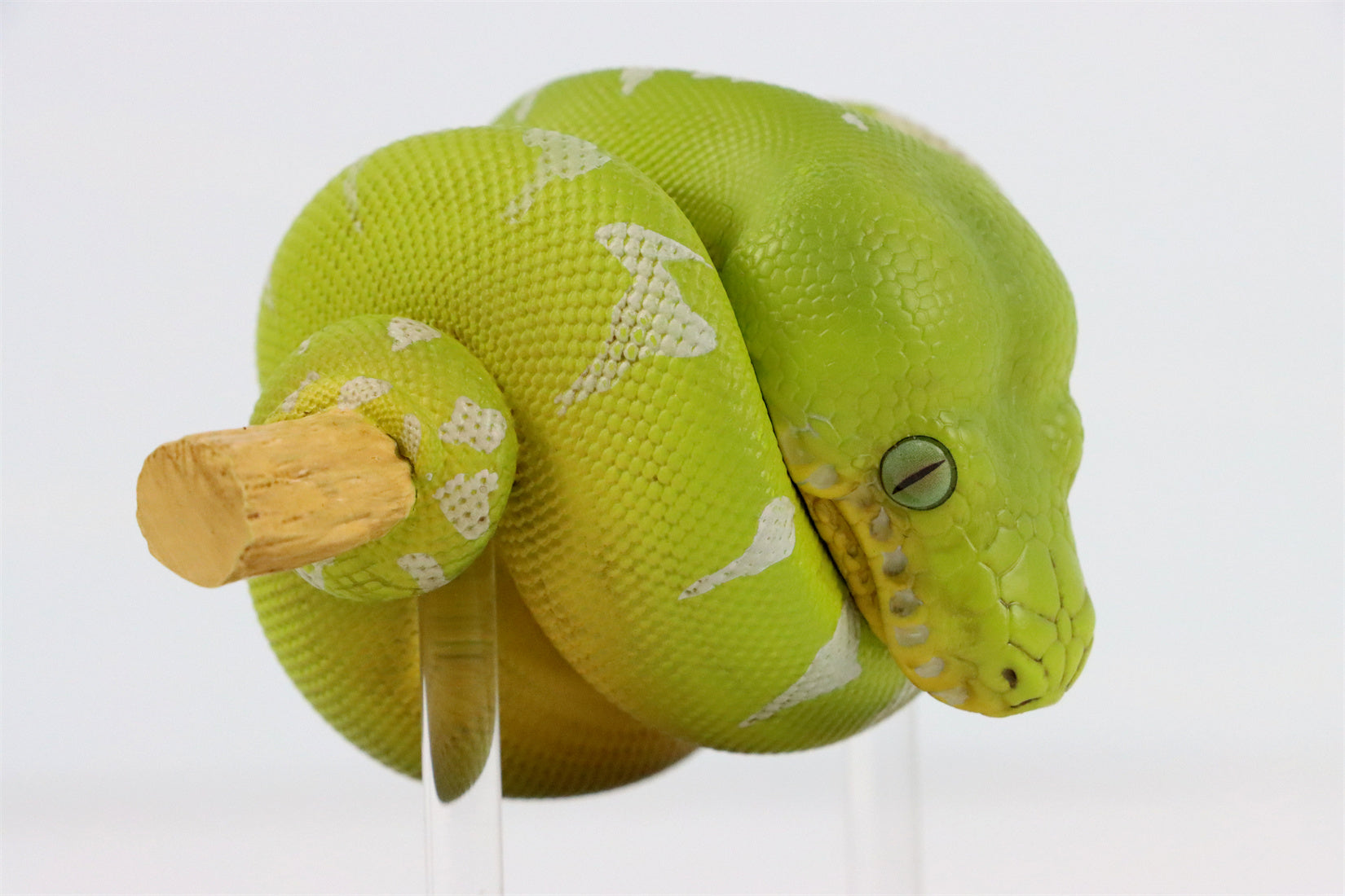 Animal Planet 09 Snake 2.0 Blind Box Model