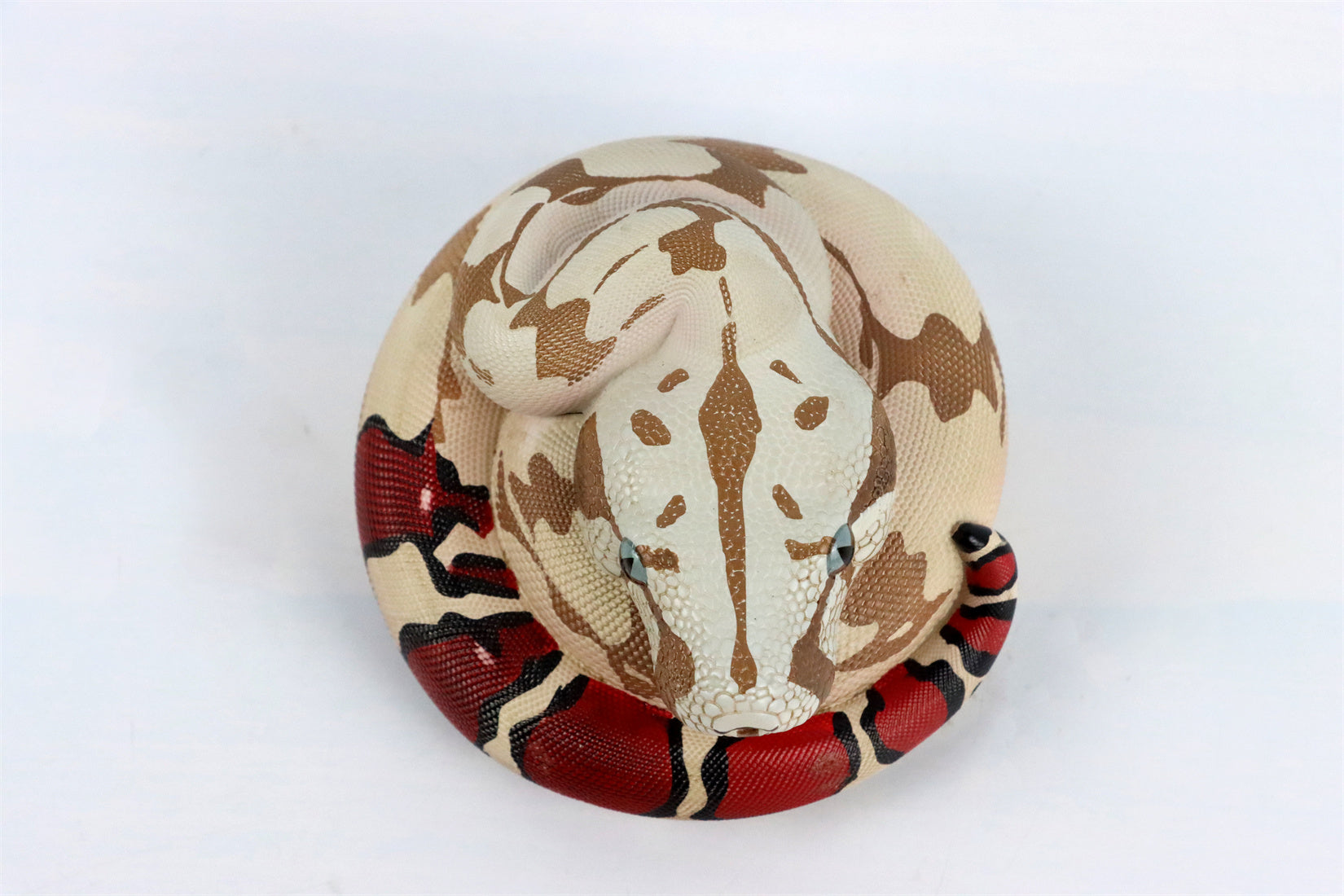Animal Planet 09 Snake 2.0 Blind Box Model