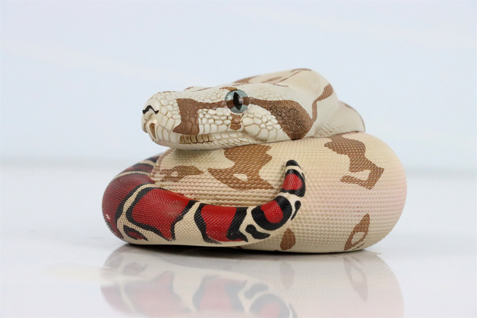 Animal Planet 09 Snake 2.0 Blind Box Model