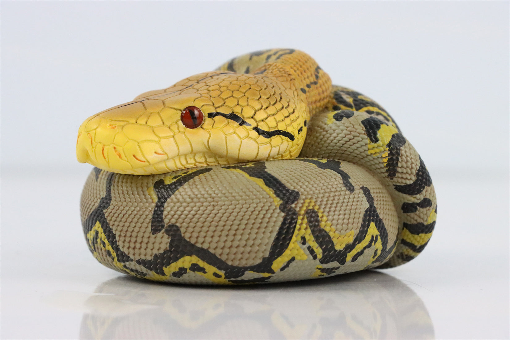 Animal Planet 09 Snake 2.0 Blind Box Model