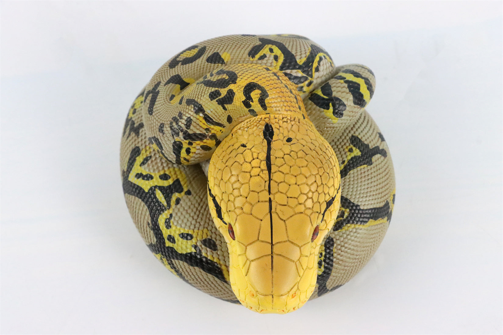 Animal Planet 09 Snake 2.0 Blind Box Model