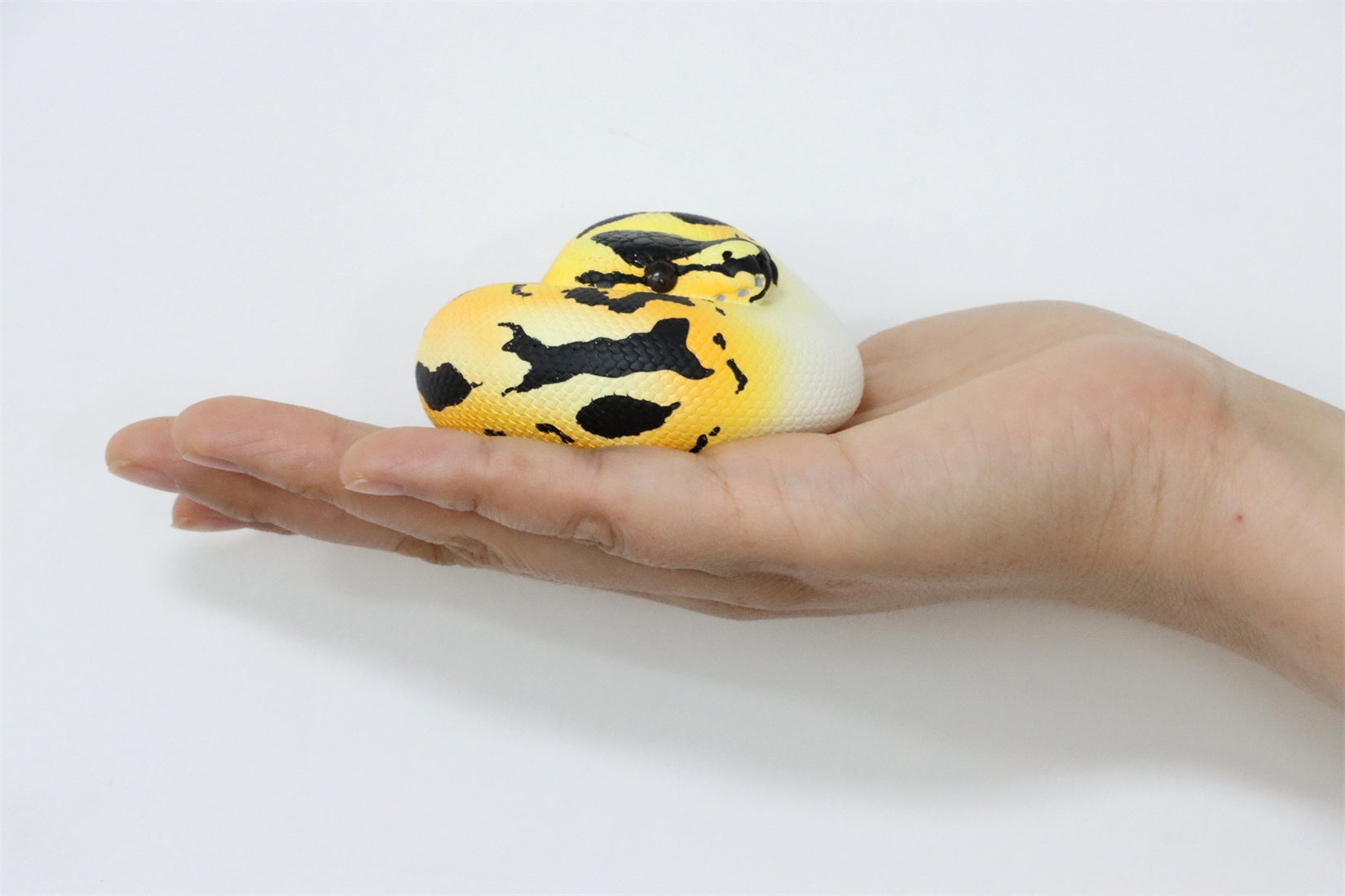 Animal Planet 09 Snake 2.0 Blind Box Model