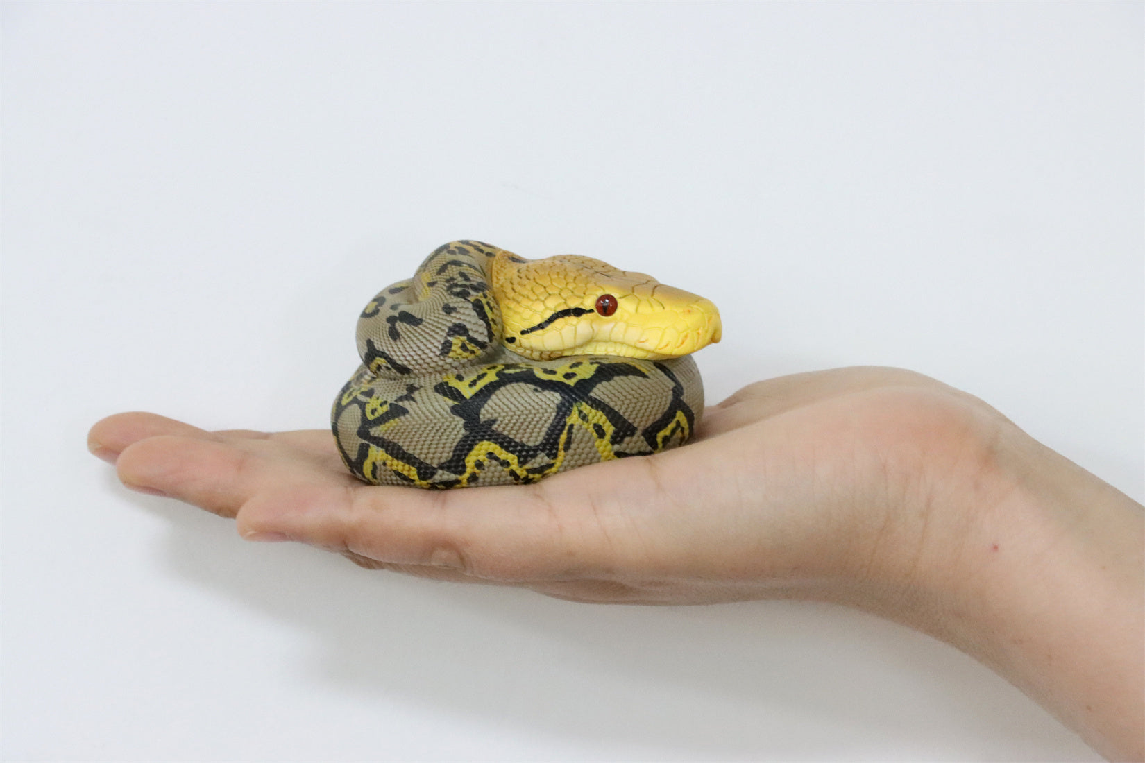 Animal Planet 09 Snake 2.0 Blind Box Model