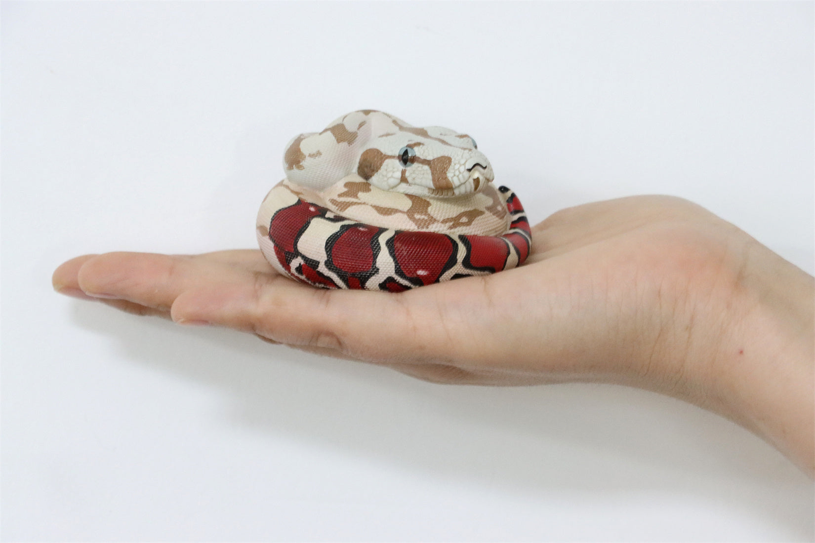 Animal Planet 09 Snake 2.0 Blind Box Model