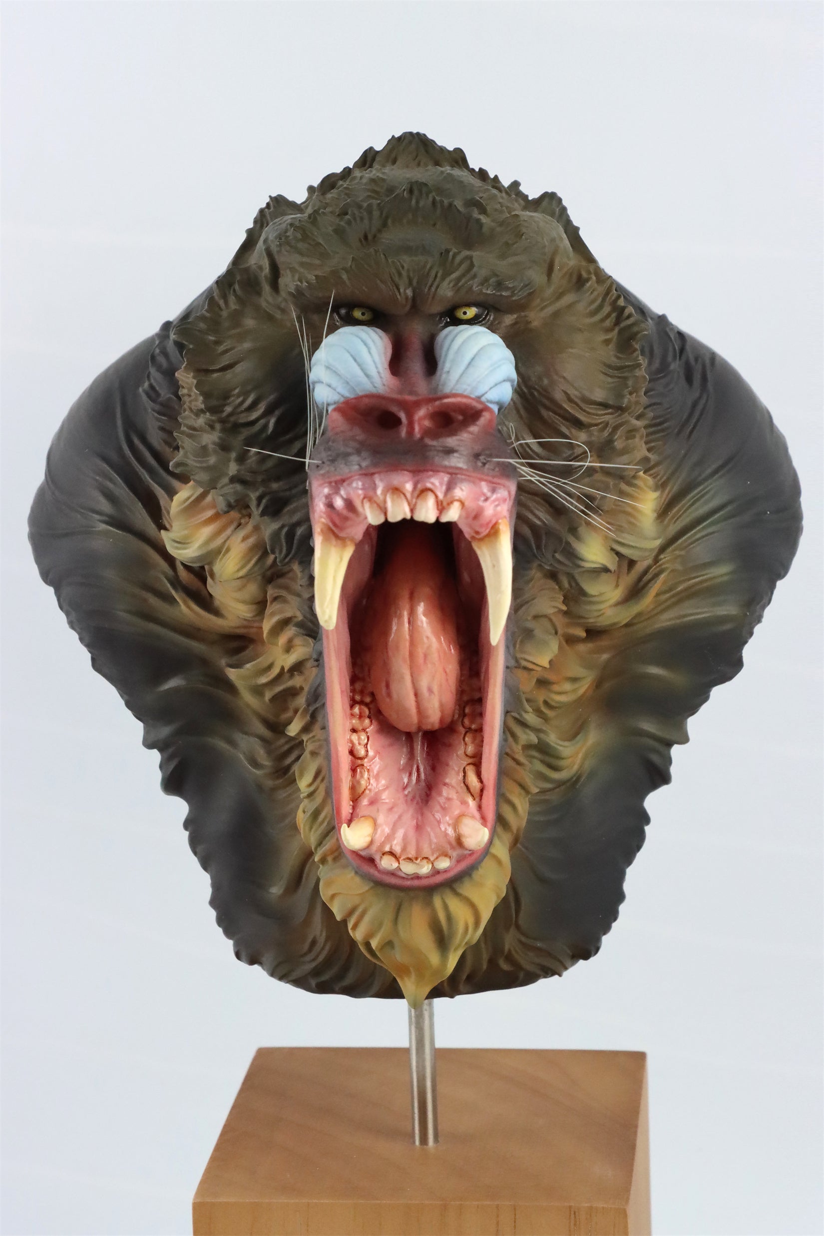 GRHC 1/3 Mandrillus Sphinx Portrait Head Figure