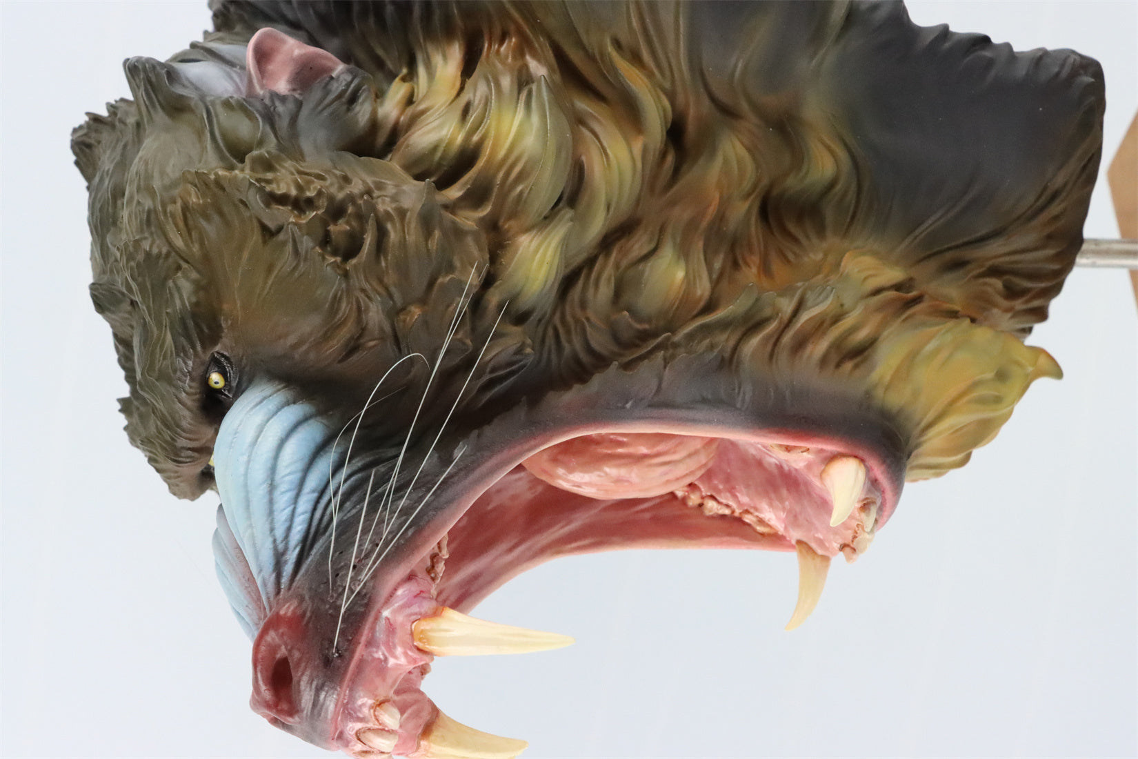 GRHC 1/3 Mandrillus Sphinx Portrait Head Figure