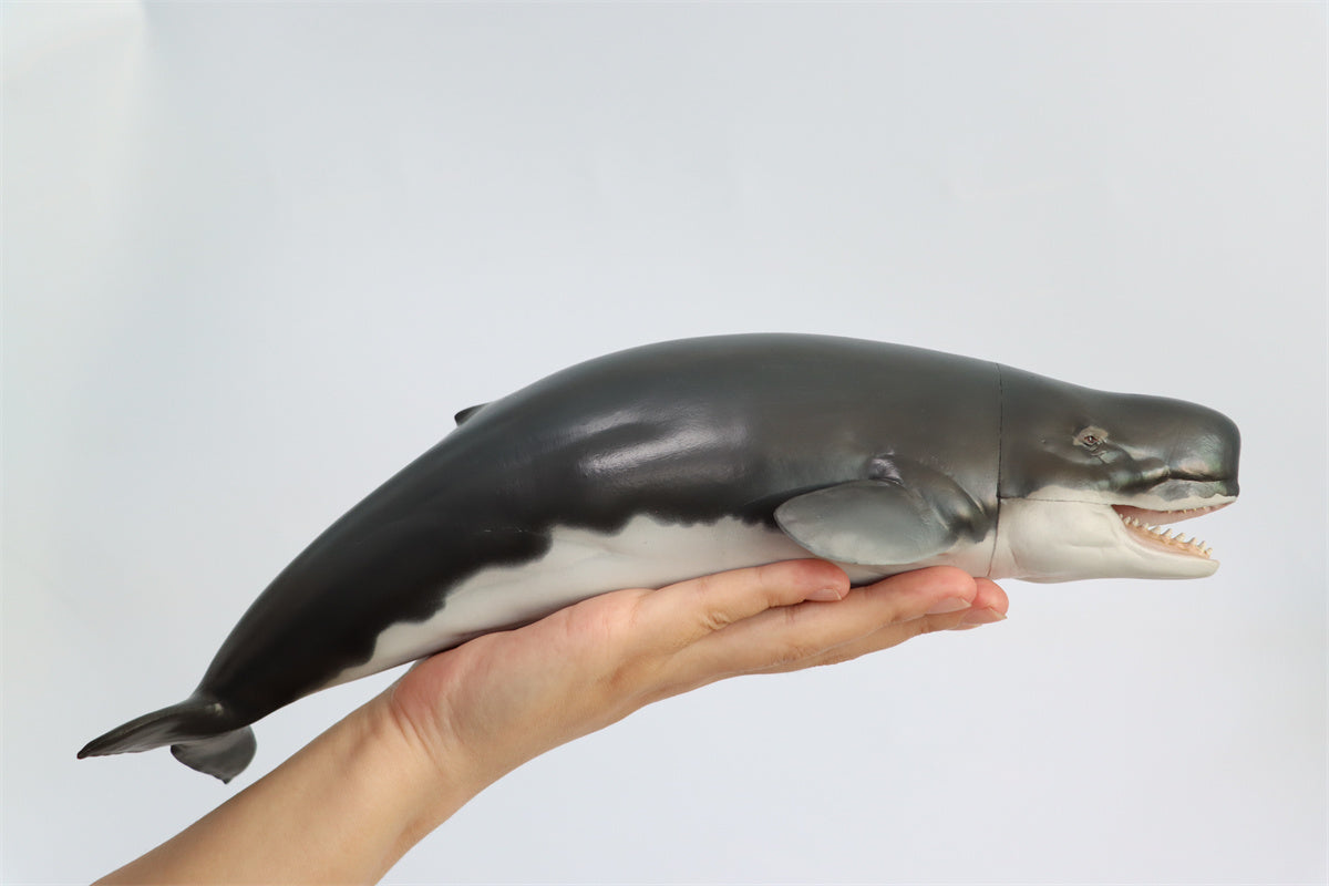 PNSO Livyatan Requena Model