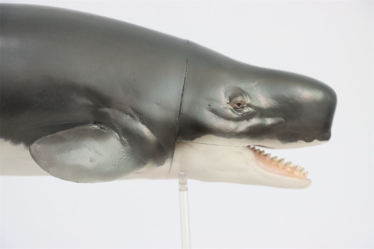 PNSO Livyatan Requena Model