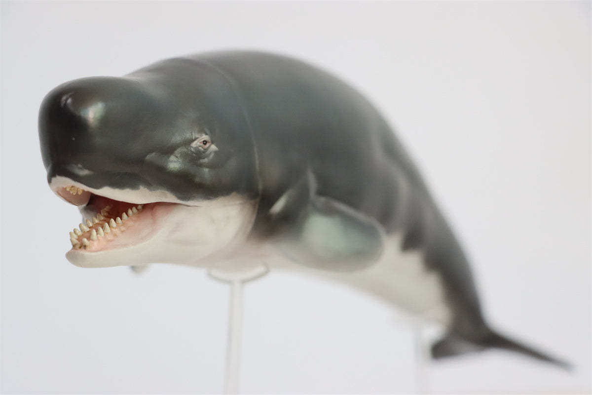 PNSO Livyatan Requena Model