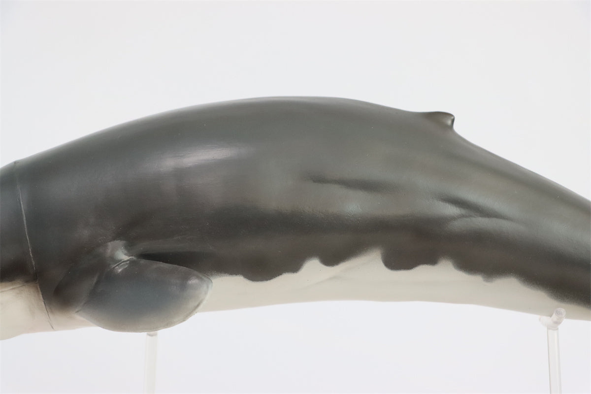 PNSO Livyatan Requena Model