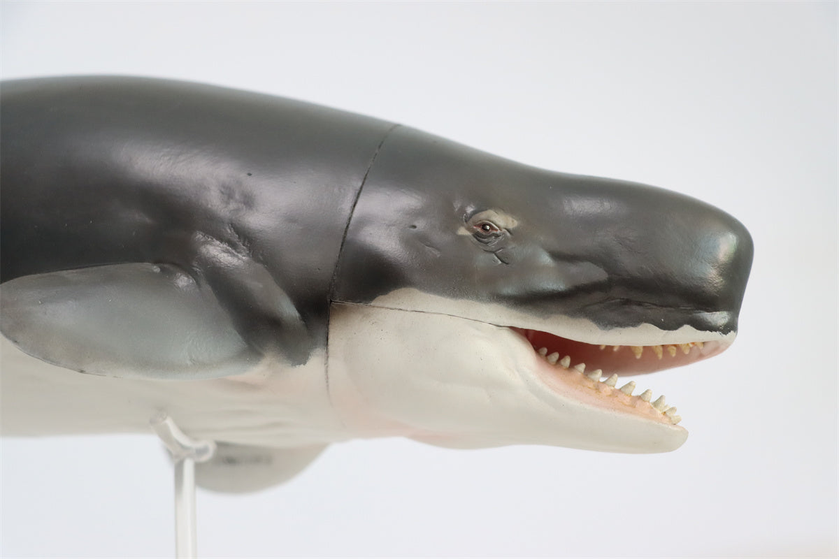 PNSO Livyatan Requena Model