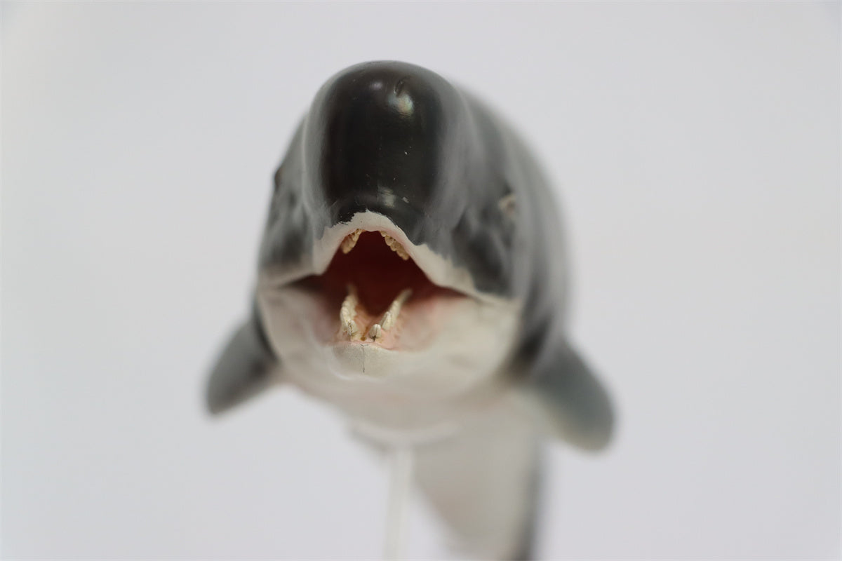 PNSO Livyatan Requena Model