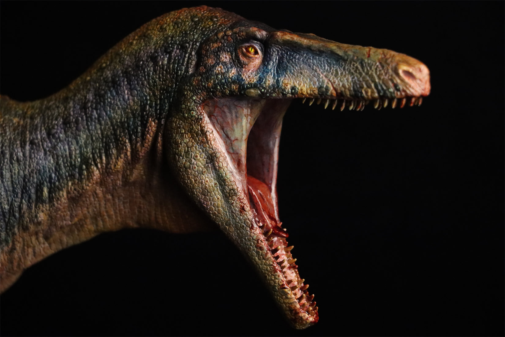 1:15 Scale Maip macrothorax Scene Model