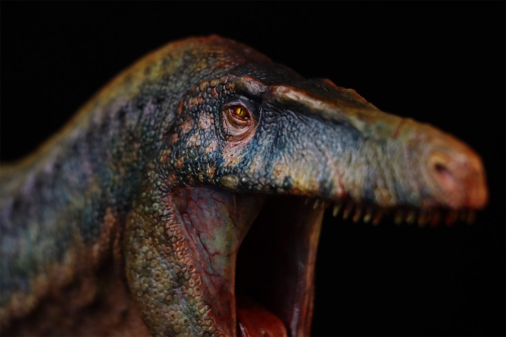 1:15 Scale Maip macrothorax Scene Model