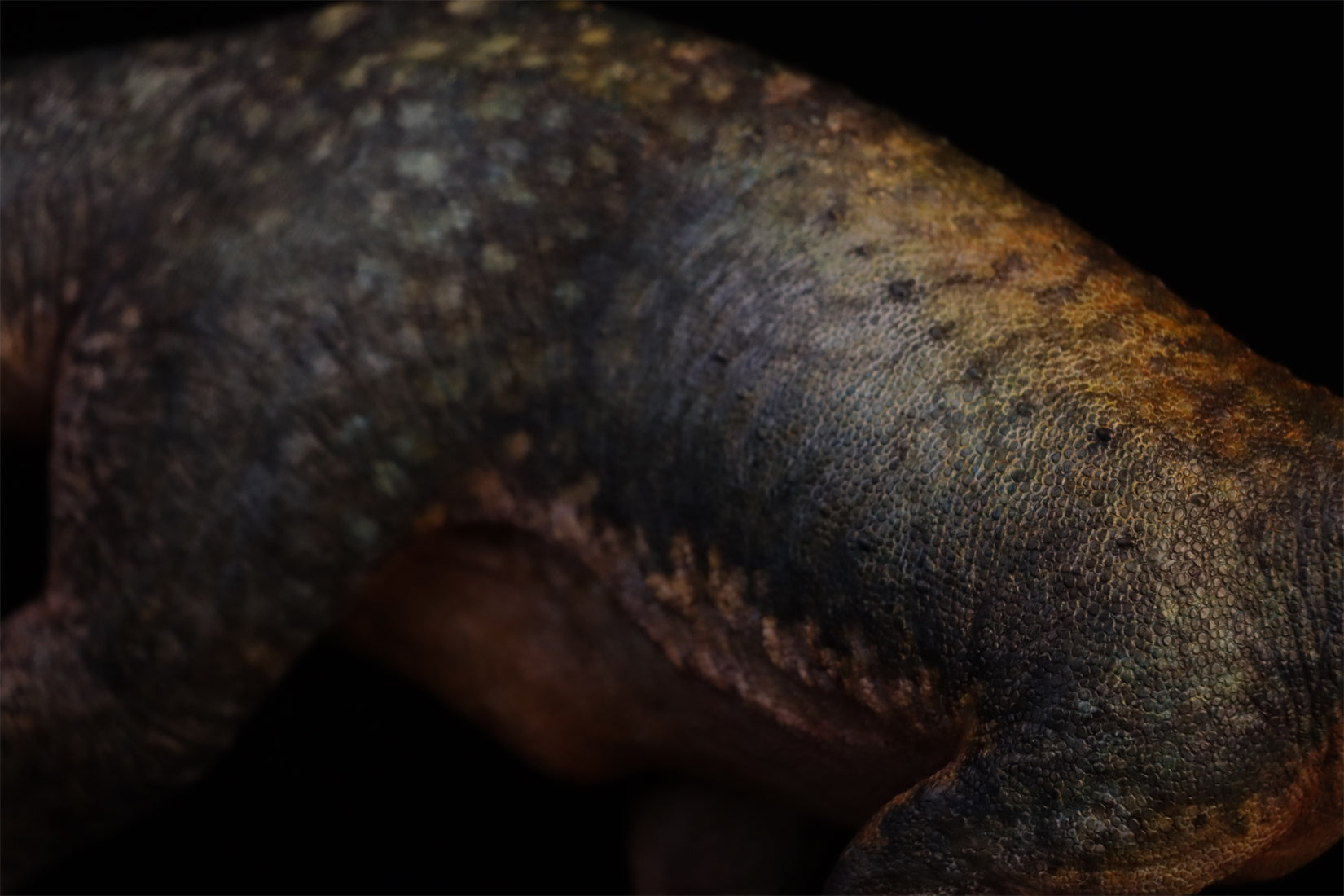 1:15 Scale Maip macrothorax Scene Model