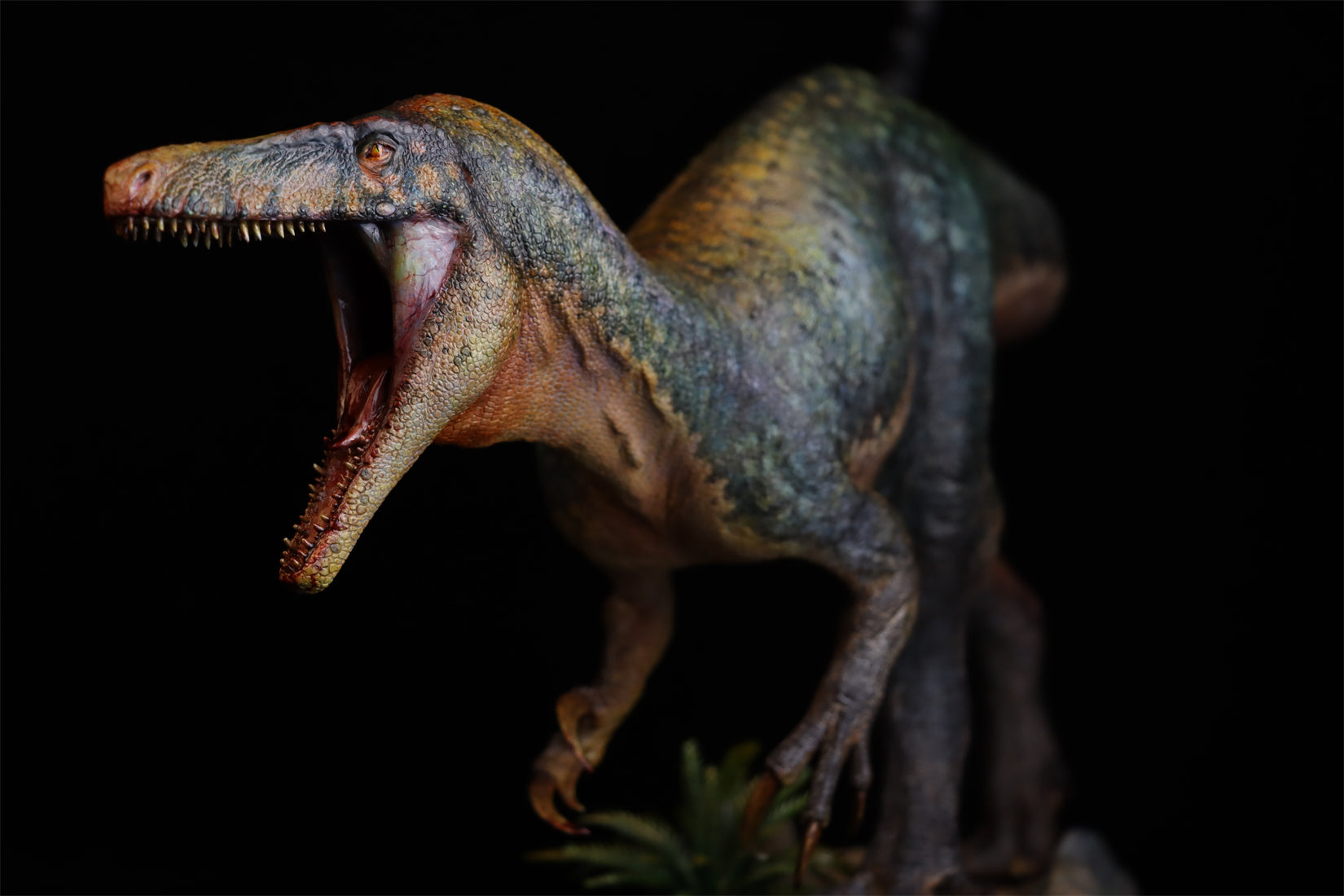 1:15 Scale Maip macrothorax Scene Model