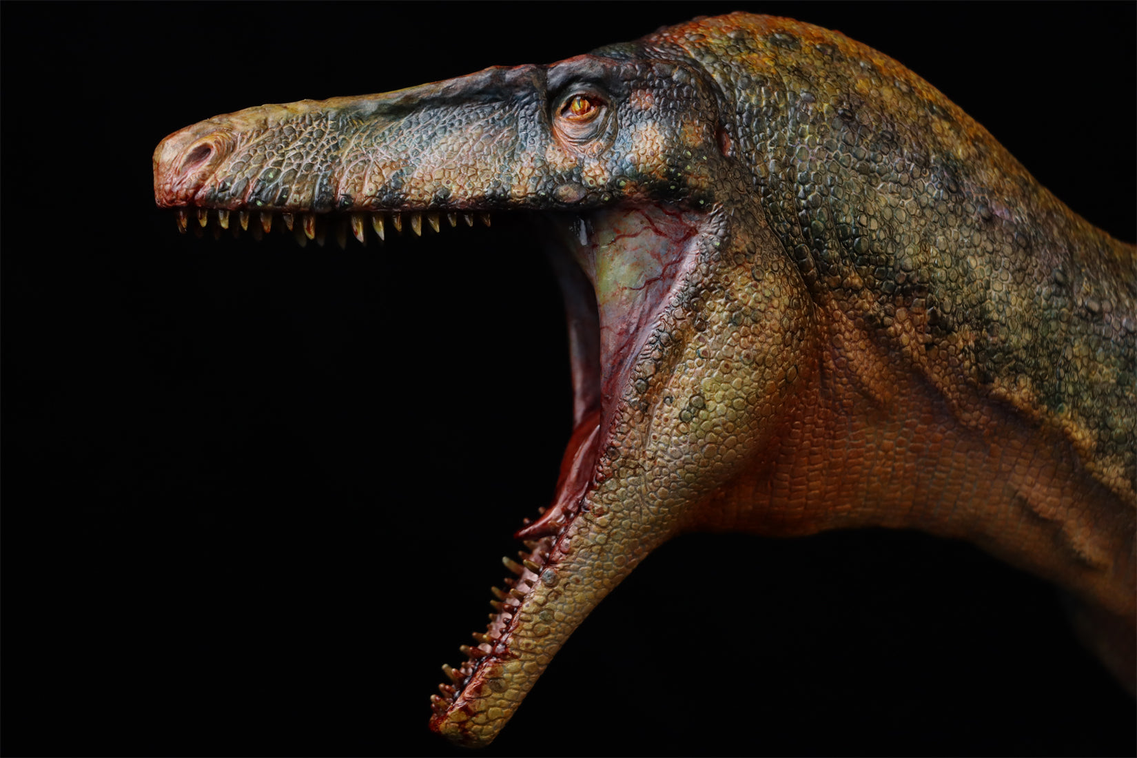 1:15 Scale Maip macrothorax Scene Model