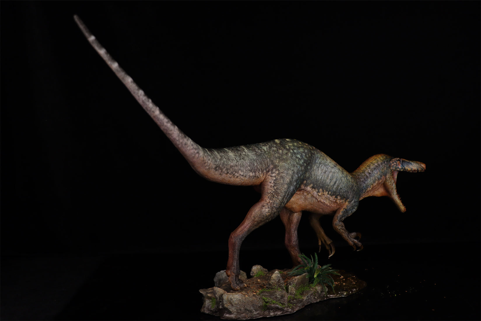 1:15 Scale Maip macrothorax Scene Model