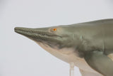 PNSO Himalayasaurus Tucson Model