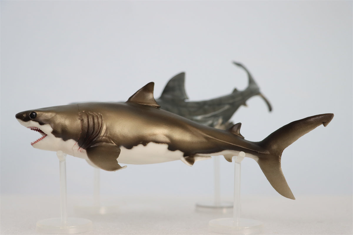 PNSO Cretoxyrhina Aidan Model