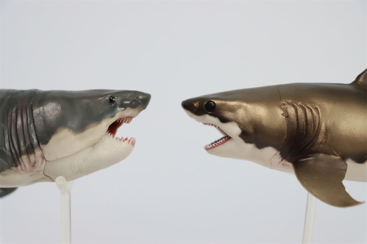 PNSO Cretoxyrhina Aidan Model