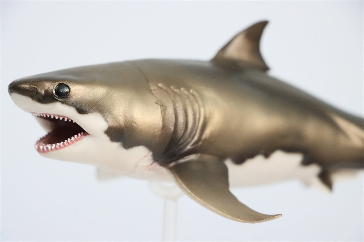 PNSO Cretoxyrhina Aidan Model