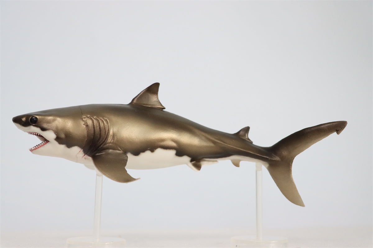 PNSO Cretoxyrhina Aidan Model