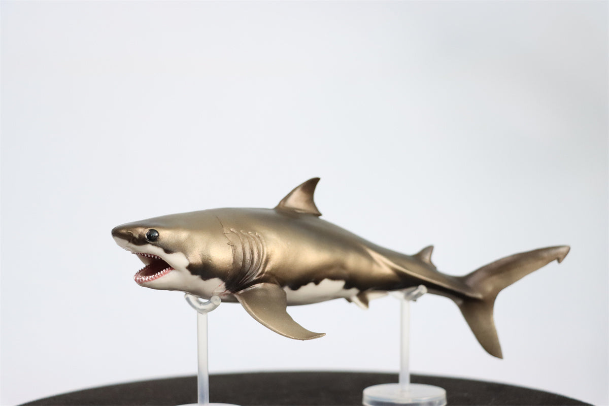 PNSO Cretoxyrhina Aidan Model