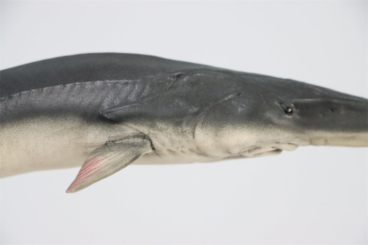 Memory Museum x Really Modeling 1/15 Paddlefish Statue