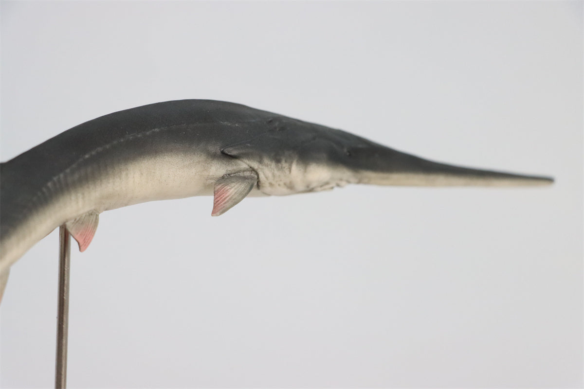 Memory Museum x Really Modeling 1/15 Paddlefish Statue