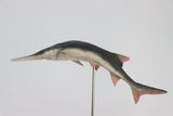 Memory Museum x Really Modeling 1/15 Paddlefish Statue