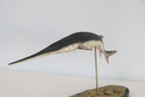 Memory Museum x Really Modeling 1/15 Paddlefish Statue