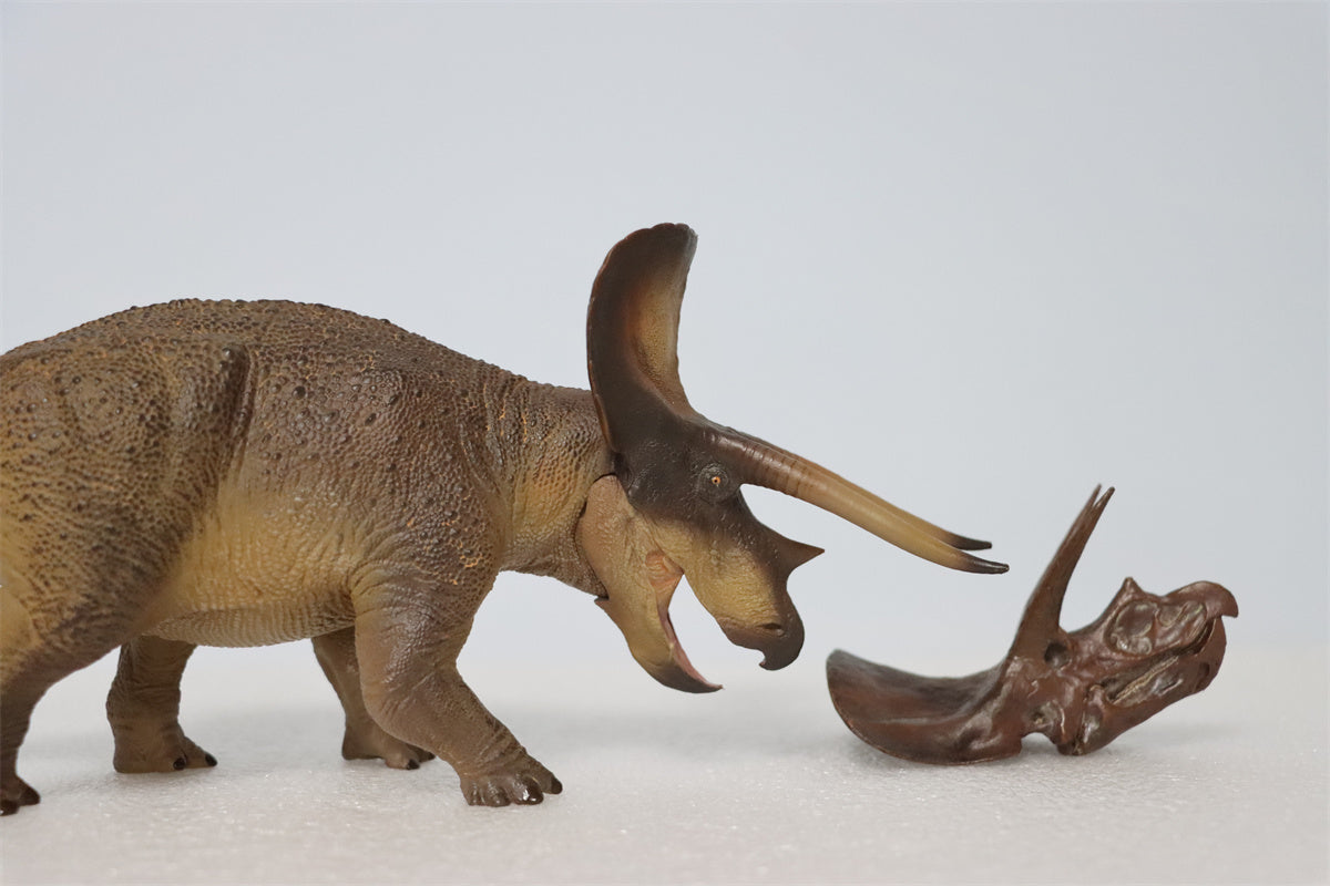 PNSO 1/35 New Triceratops Doyle Model