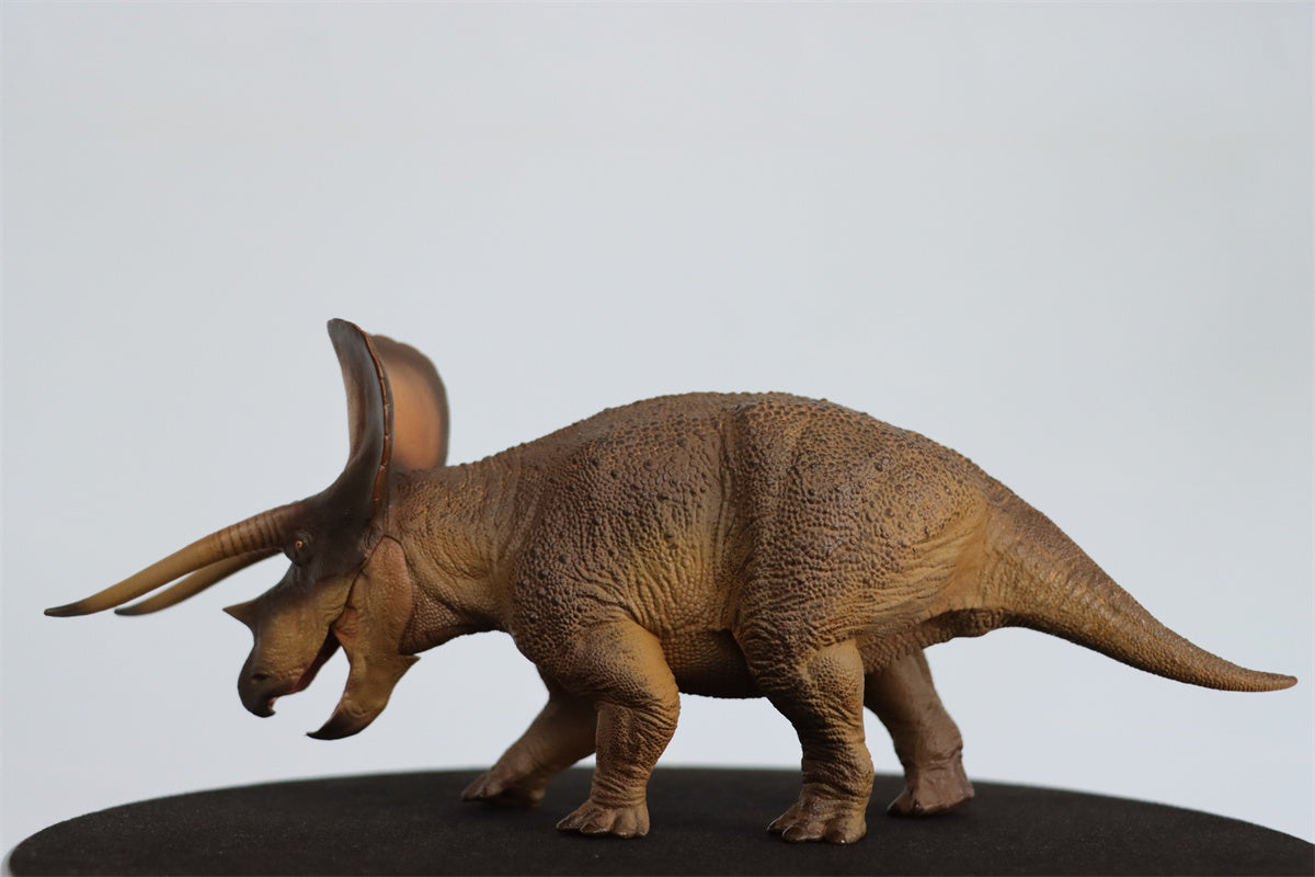 PNSO 1/35 New Triceratops Doyle Model